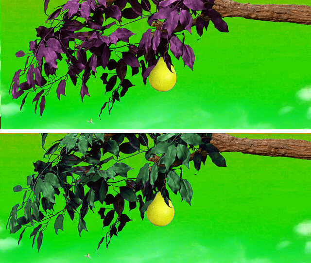 Click image for larger version

Name:	leaves-green.jpg
Views:	361
Size:	142,2 KB
ID:	184767