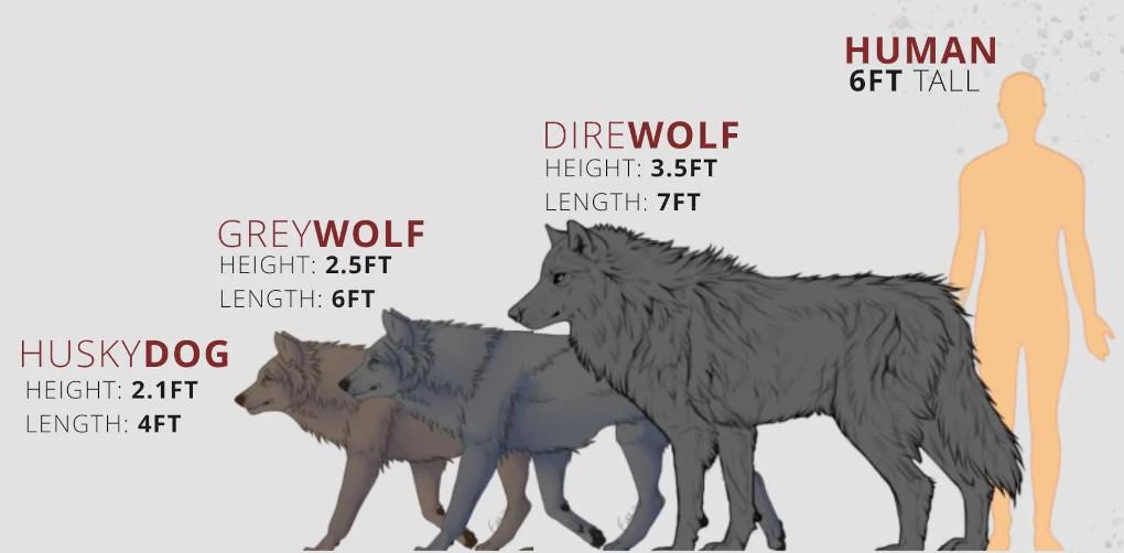 Click image for larger version  Name:	DireWolf.jpg Views:	0 Size:	42,7 KB ID:	205289