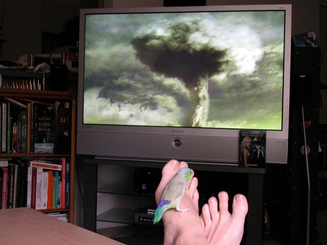 Click image for larger version

Name:	a_self_portrait.jpg
Views:	15
Size:	121,3 KB
ID:	208372