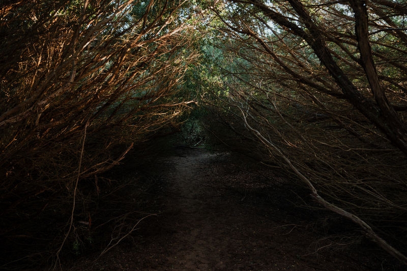 Click image for larger version  Name:	Pacific Bluff.jpg Views:	0 Size:	327,4 KB ID:	214224