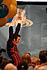 Click image for larger version

Name:	walmart-HQ-004.jpg
Views:	214
Size:	43,2 KB
ID:	183325