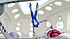 Click image for larger version

Name:	Snapshot 1 (5-10-2022 5-28 PM).png
Views:	828
Size:	335,7 KB
ID:	183822