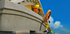 photo1.png