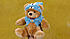 Click image for larger version

Name:	teddybear-talkingteddy.jpg
Views:	251
Size:	72.4 KB
ID:	191597