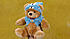 Click image for larger version

Name:	teddybear-talkingteddy.jpg
Views:	320
Size:	72,4 KB
ID:	191597