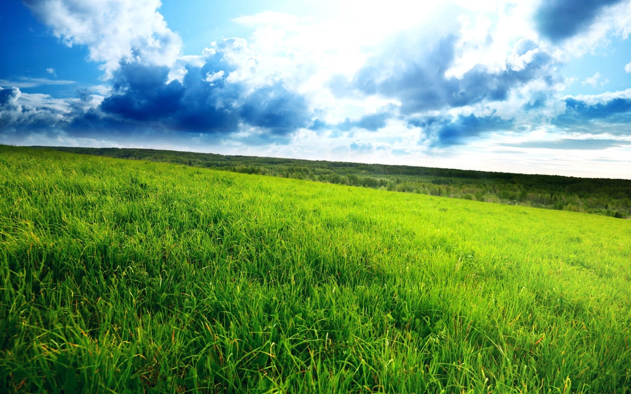 landscapes